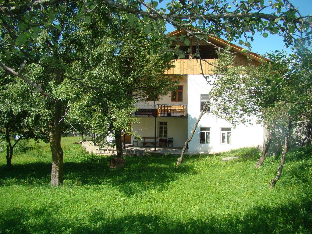 Guest House Tavaduri Mestia Bagian luar foto