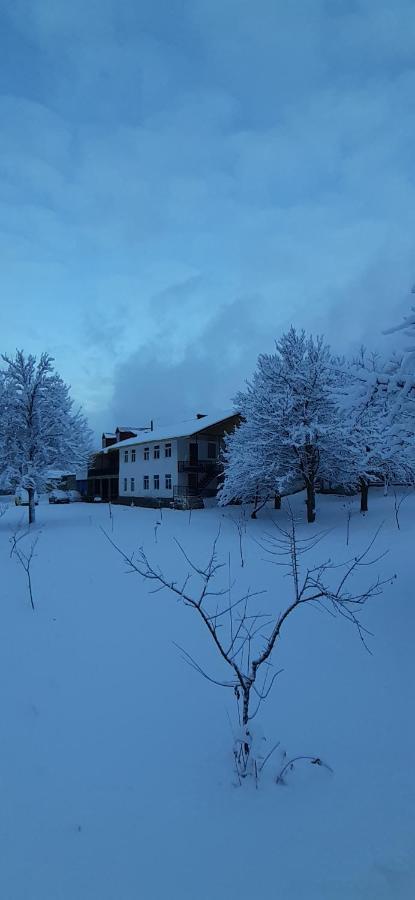 Guest House Tavaduri Mestia Bagian luar foto